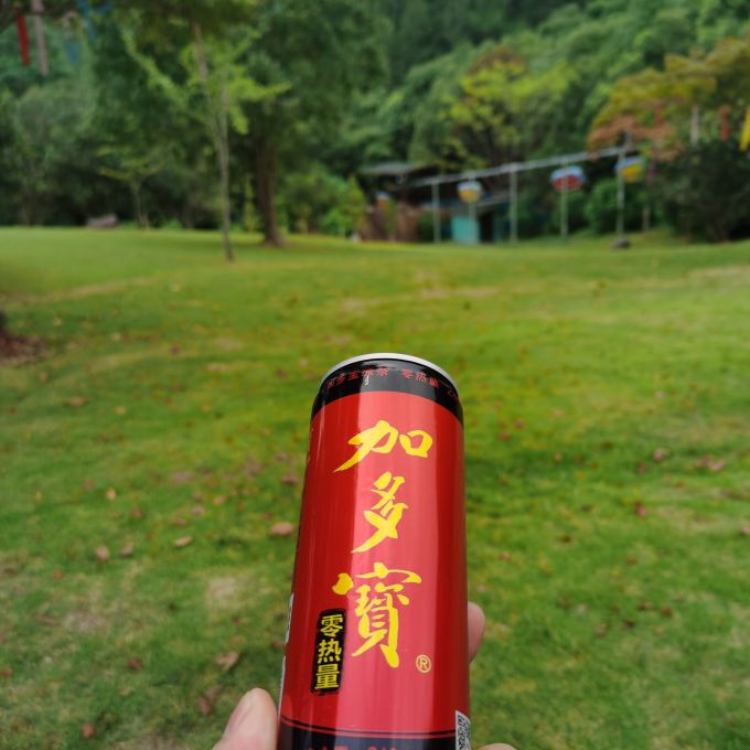 饮料