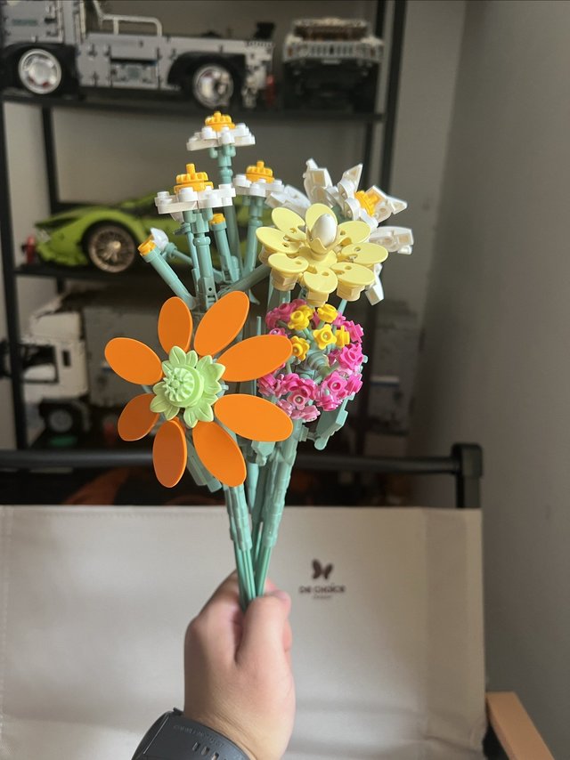 积木花：你见过这样的奇迹吗？