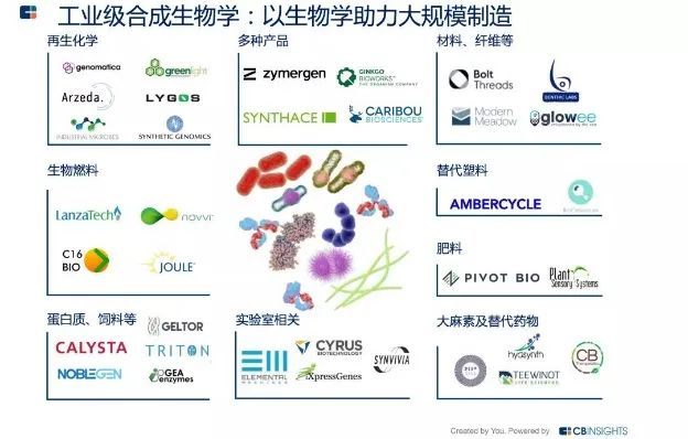 未来的修护黑科技，原来长这样！