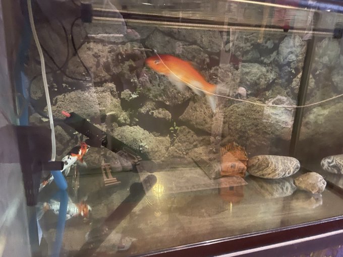 森森智能鱼缸/水族箱