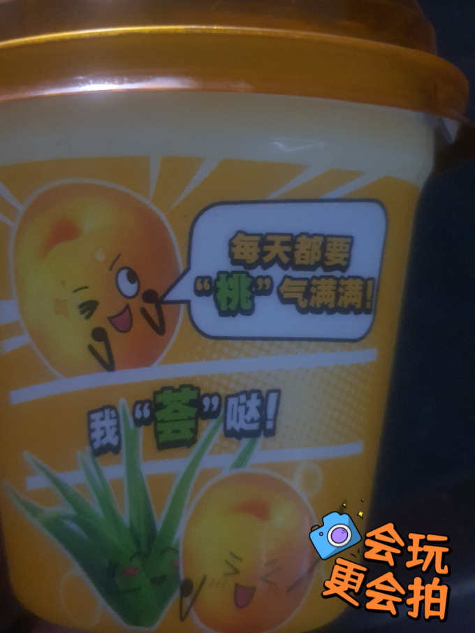 奶类制品