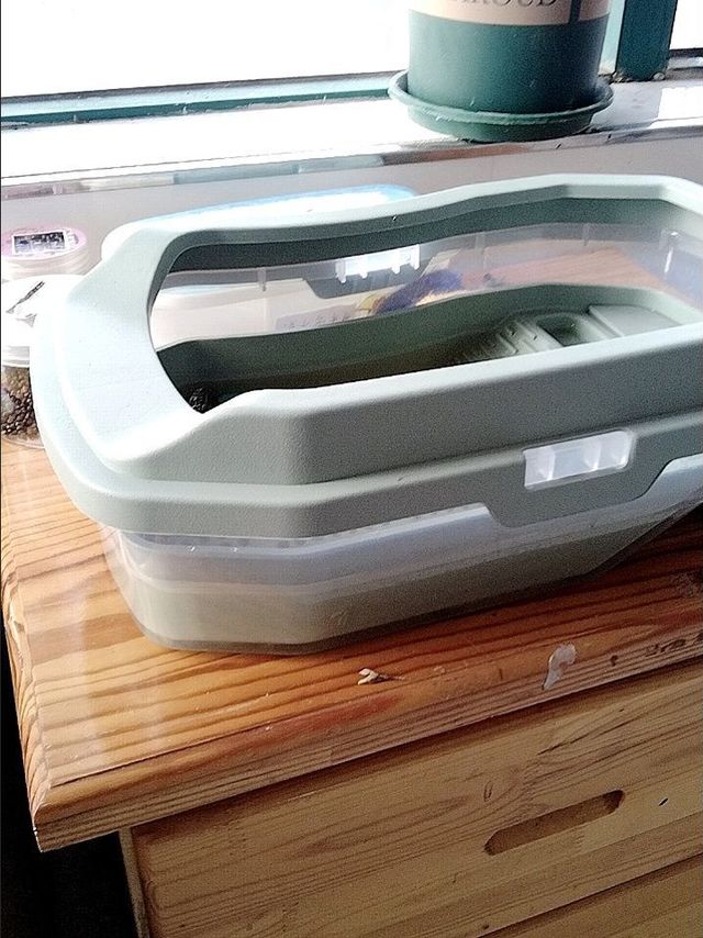 终于给乌龟换新房子啦