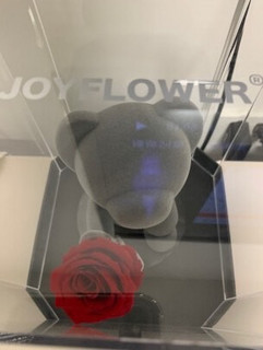 🌹JoyFlower，永生花小熊！🎁💖