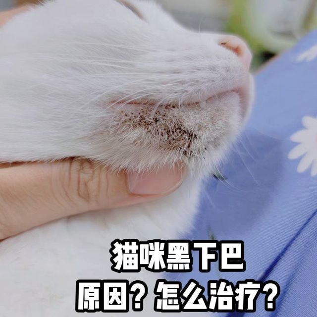 黑下巴产生的原因及治疗方案