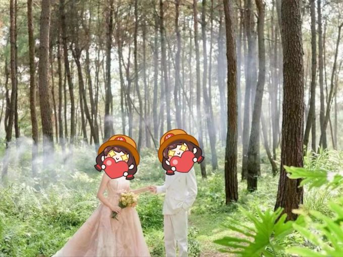 对蝶婚纱