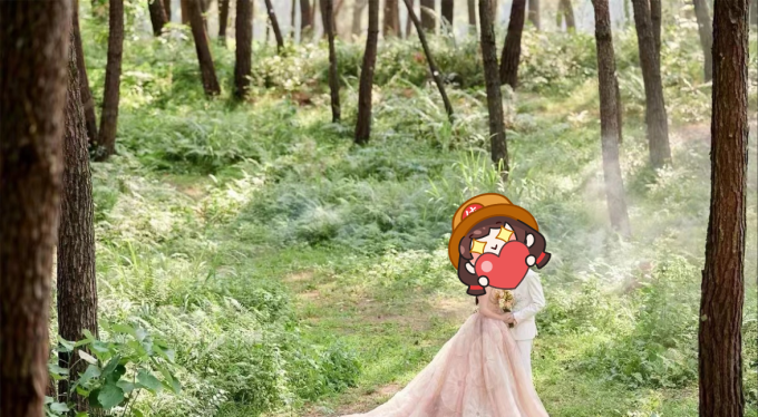 对蝶婚纱