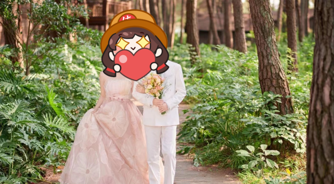 对蝶婚纱