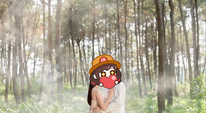 对蝶婚纱