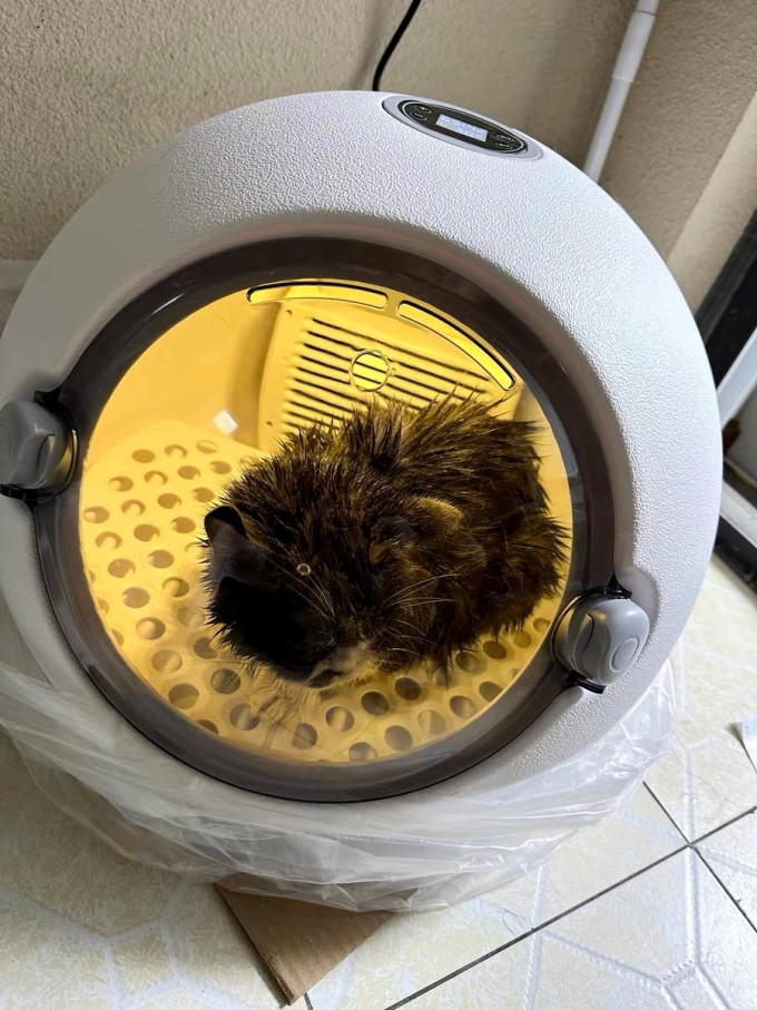 宠物时间宠物美容电器