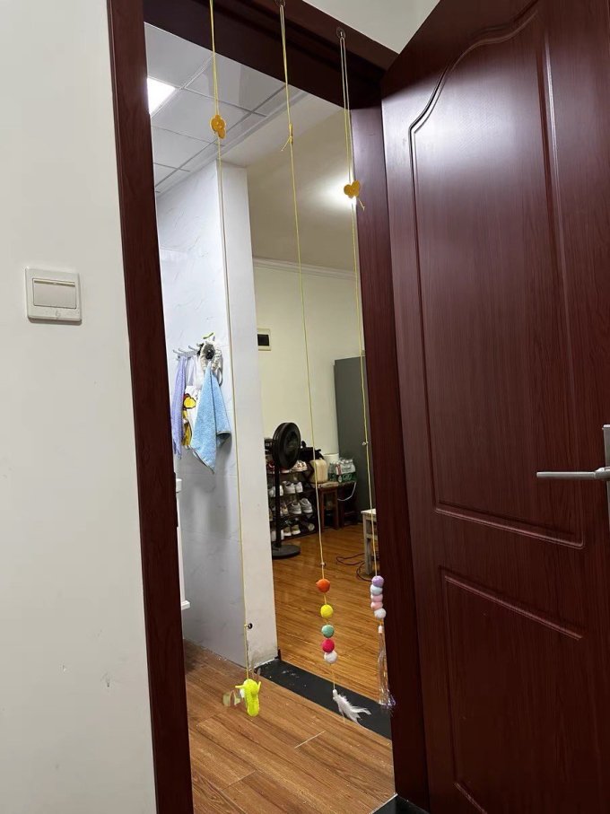 华元宠具逗猫棒