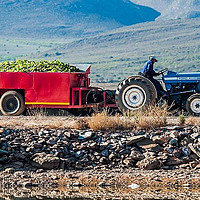 南非葡萄酒：产区地图及产区介绍