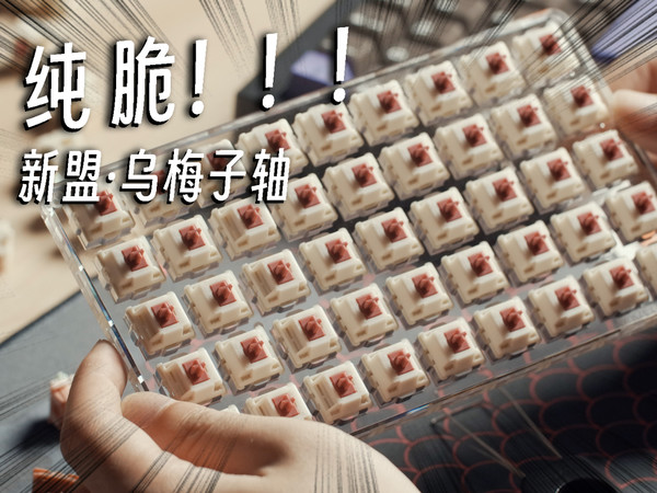 纯脆HiFi颜值高，新盟首款声优轴丨乌梅子轴