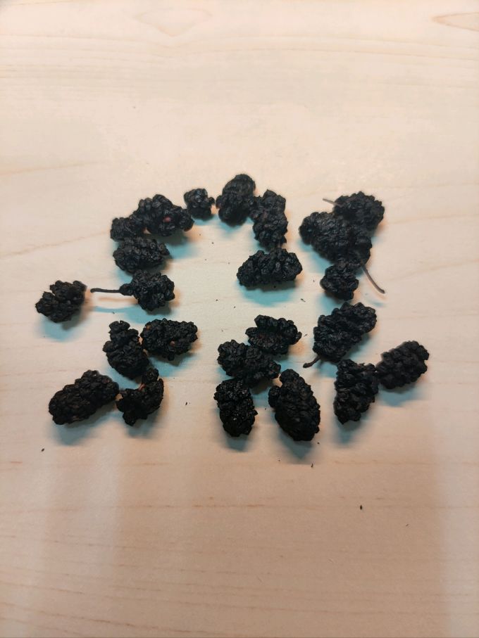 中广德盛南北干货