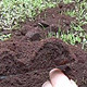 7种“小垃圾”，埋到花盆里，肥得流油，养花很给力！