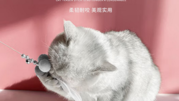 萌宠专享：颜值逗猫棒