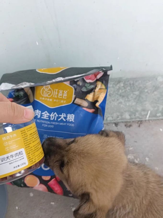 狗粮