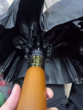 有品味的一把商务伞