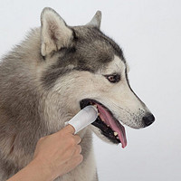 一支宠物牙刷，守护你的宠物口腔健康！