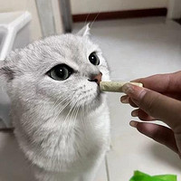 与宠相伴 篇三十二：猫有必要吃化毛膏吗？有什么化毛产品可以推荐吗？