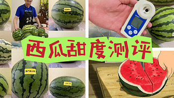 7大爆款西瓜试吃——来自“吃瓜群众”的西瓜甜度测试