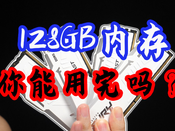你能用完128GB的DDR5内存吗？我来试试