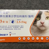 猫猫驱虫马虎不得！