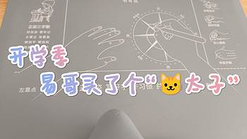 开学季，易哥买了一个🐱太子