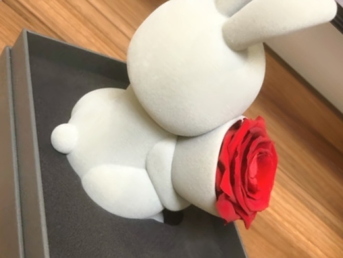 鲜花绿植