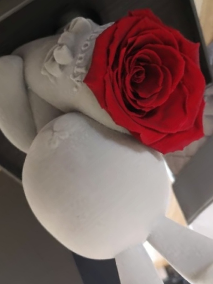 鲜花绿植