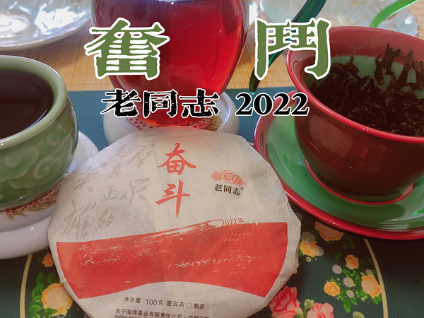 真实品茶（190），老同志2022年奋斗普洱熟茶