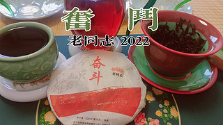 真实品茶（190），老同志2022年奋斗普洱熟茶