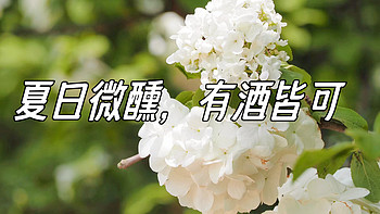 吃喝玩乐合集 篇六十七：不醉研究所｜夏日微醺，有酒皆可