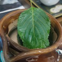 自己制作紫苏熟水