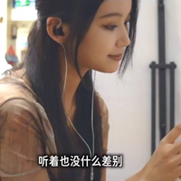 水月雨竹2代入门百元有线耳机