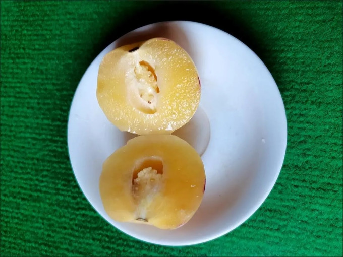 兮柔新鲜水果