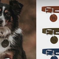 德国Hunter奥尔堡真皮狗狗宠物项圈是一款专为狗狗设计的高品质牵引绳