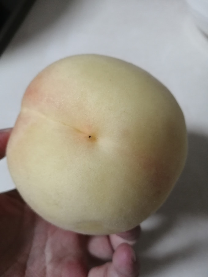 阳山新鲜水果