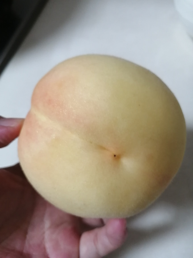 阳山新鲜水果