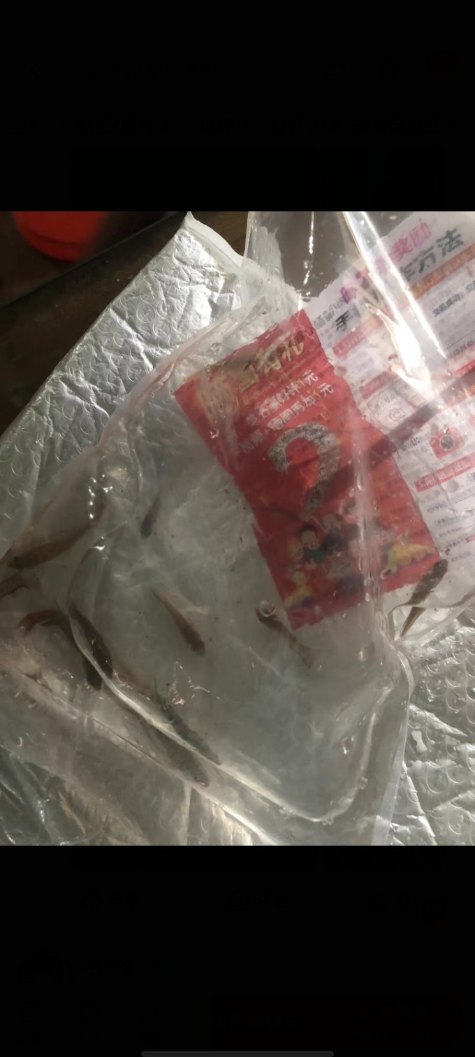 水族