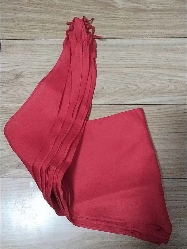 开学季 红领巾