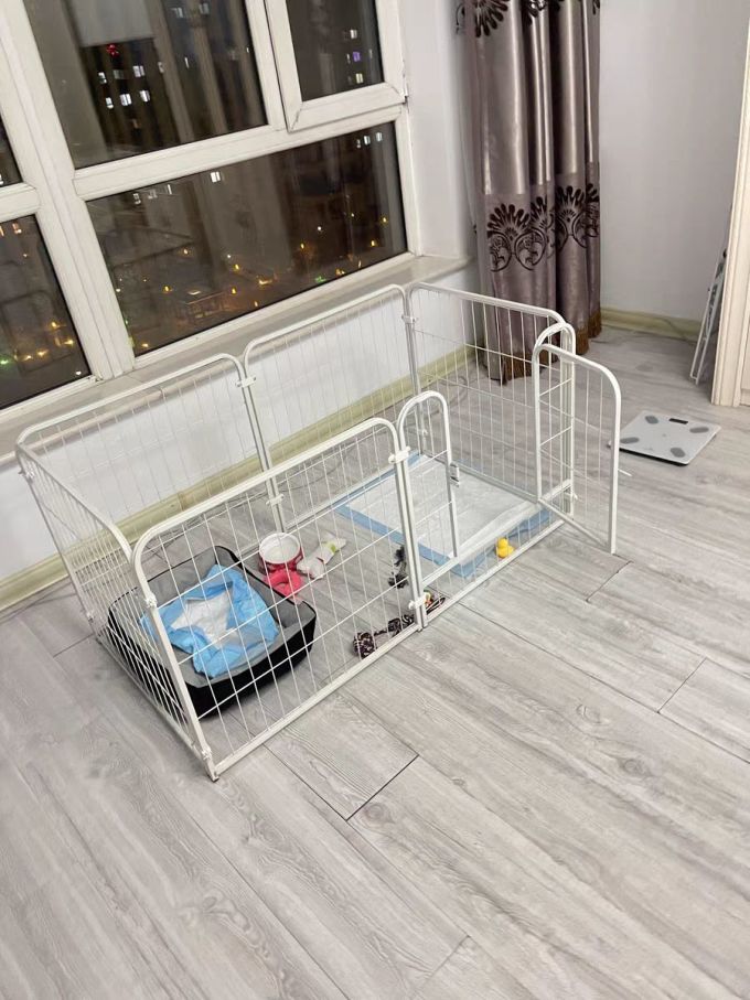 猫狗窝