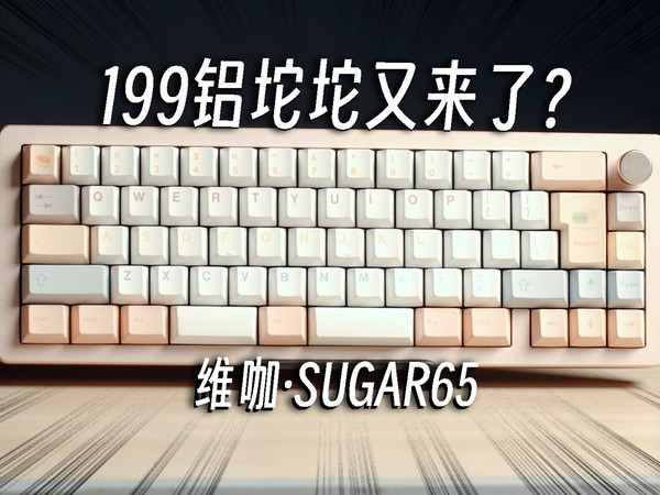 卷土重来！199铝坨坨申请出战丨维咖sugar65