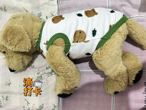 宠物穿上衣服也挺可爱呢😊