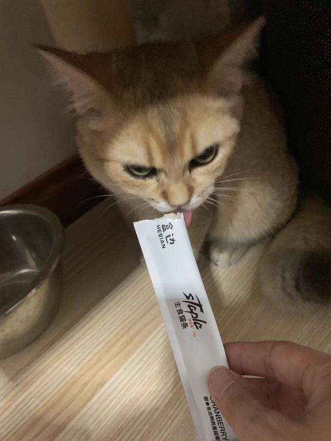 猫零食