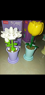 积木小花朵：锻炼拼装能力的美好礼物，装饰家居的亮丽点缀