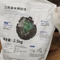 养猫必备的猫砂