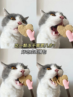 猫咪营养美味的帕特冻干