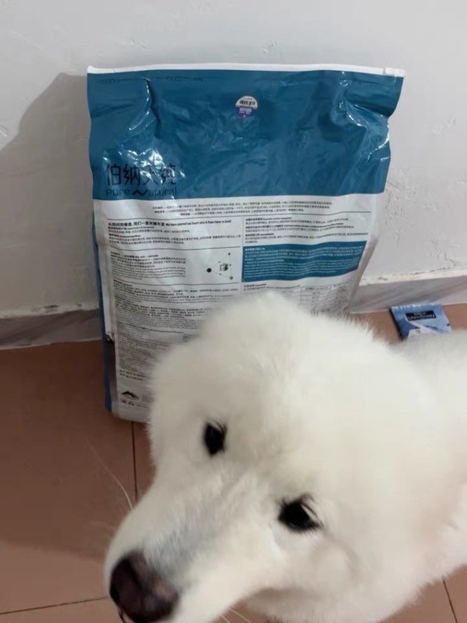 狗粮