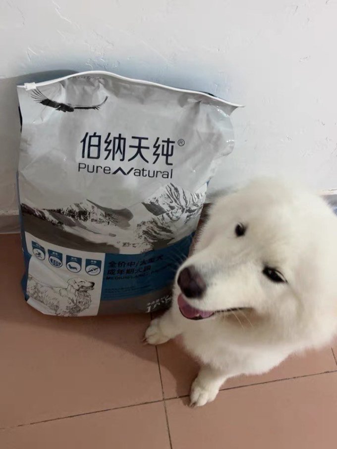 狗粮