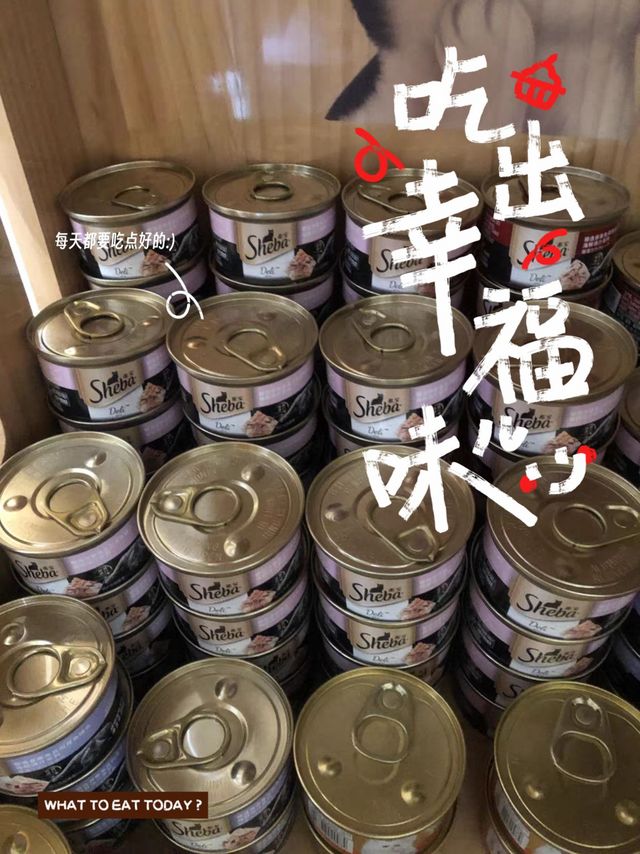 让猫咪吃出幸福的味道之猫咪罐头